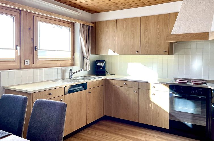 Appartement Apart Kleinstein-Maass Nr. 1, (Samnaun-Plan)
