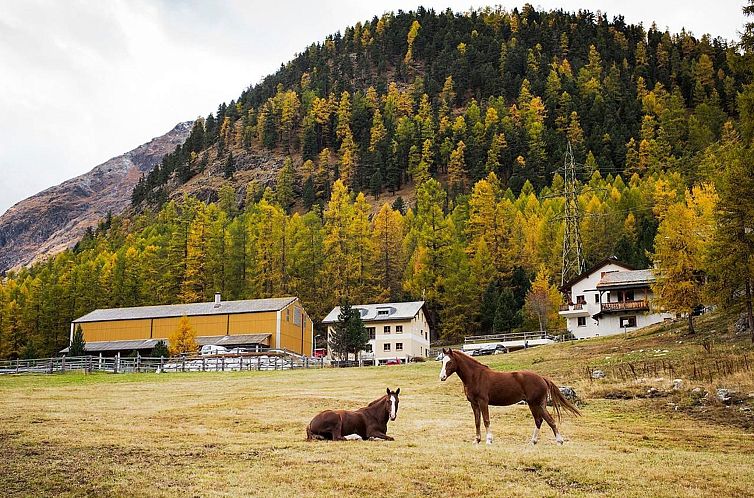 Appartement Chesa Formel - Stalla Engiadina
