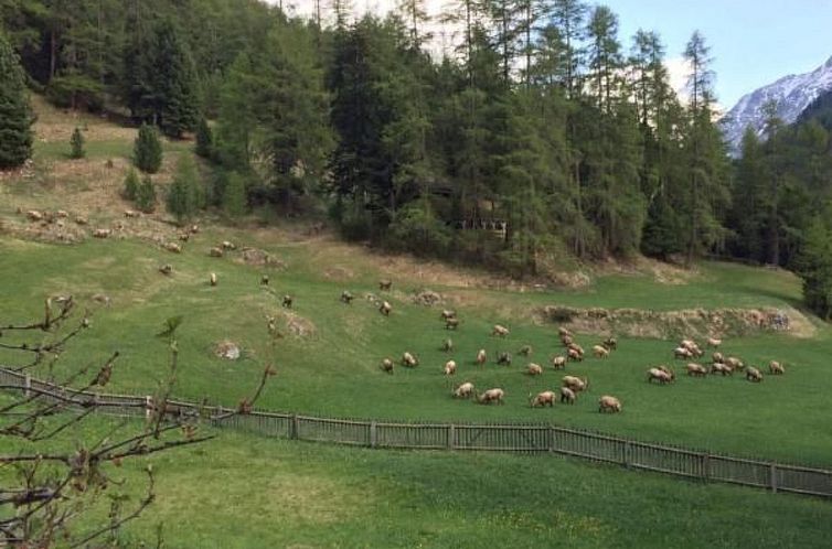 Appartement Chesa Melchior