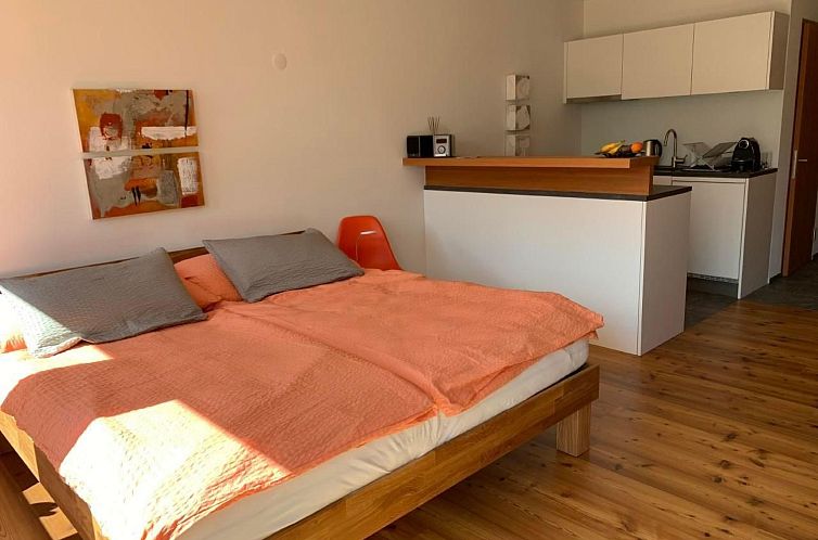 Appartement MFH Terr‘in tschêl