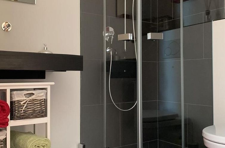 Appartement MFH Terr‘in tschêl