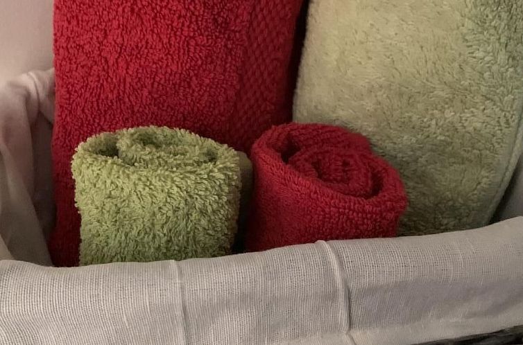 Appartement MFH Terr‘in tschêl