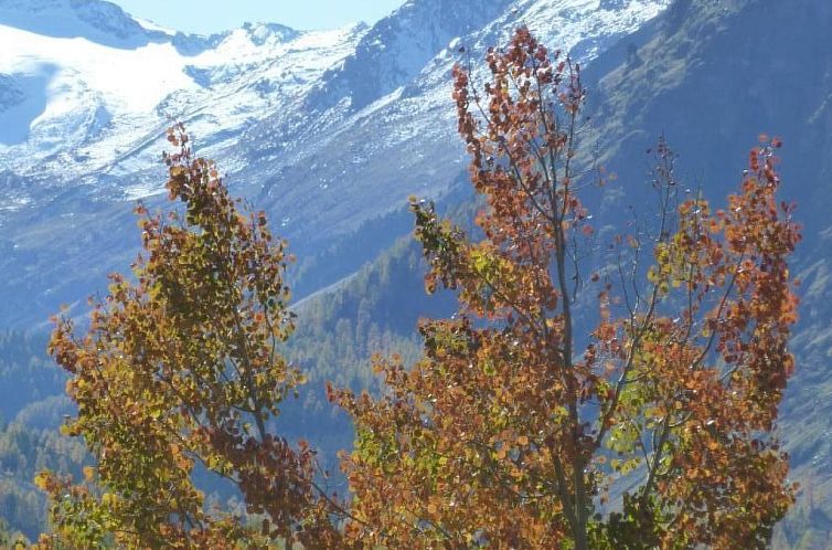 Appartement MFH Terr‘in tschêl