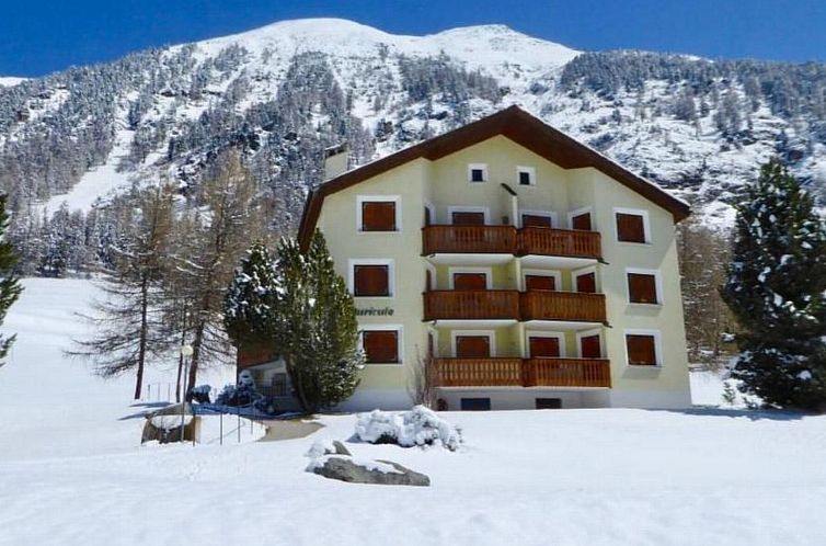 Appartement Chesa Auricula