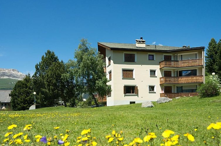 Appartement Chesa Arnica Whg 3