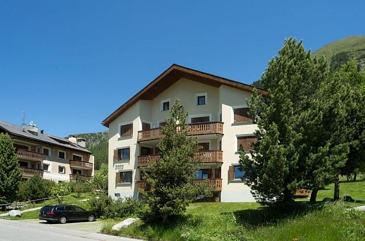 Appartement Chesa Arnica Whg 3