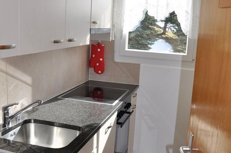 Appartement Chesa Stail'Alva 2