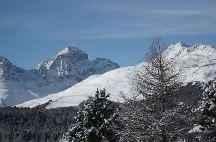 Appartement Chesa Stail'Alva 1