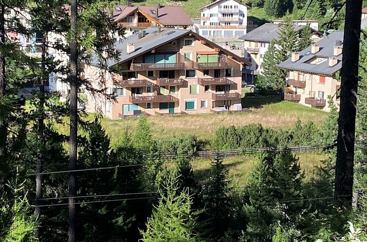 Appartement Wohnung Curtins