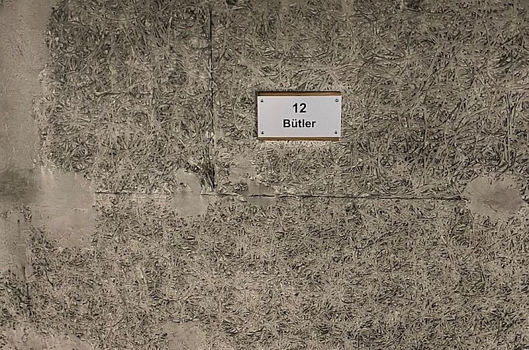 Appartement Wohnung Curtins