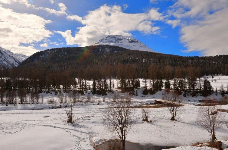 Appartement Chesa Randurel