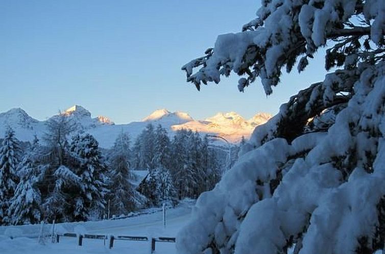 Appartement Chesa Basilisk 1 - ÖV inklusive