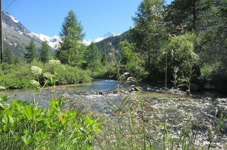 Appartement Chesa Basilisk 1 - ÖV inklusive