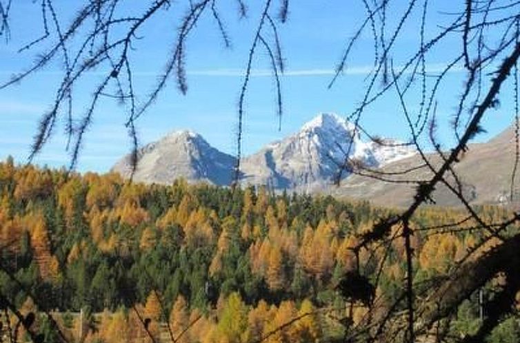 Appartement Chesa Basilisk 1 - ÖV inklusive