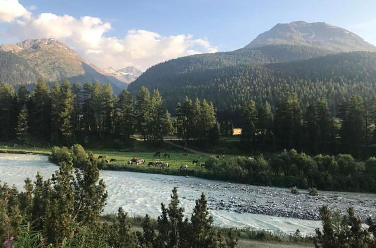 Appartement Chesa Romana