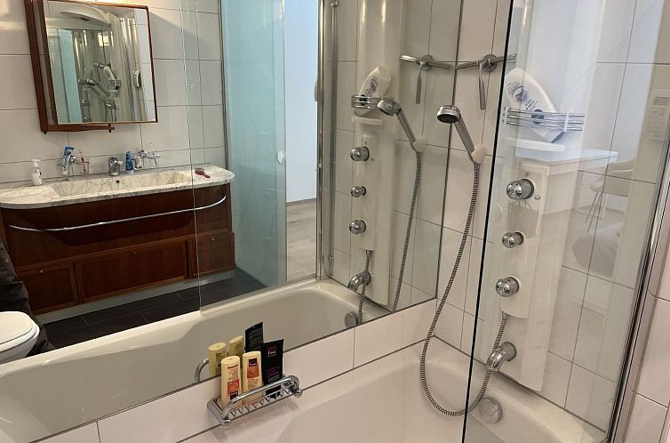 Appartement Park Roseg