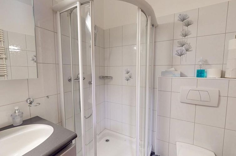 Appartement Apartment Parc Roseg 34