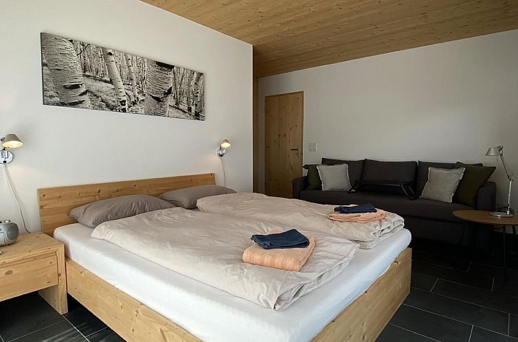 Vakantiehuis Lumnezia Lux