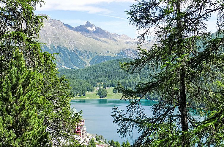 Appartement Chesa Cripels I