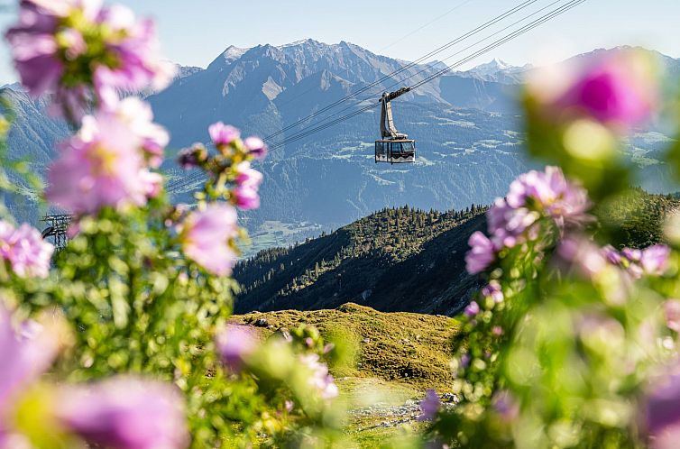 Appartement Superior Alpine