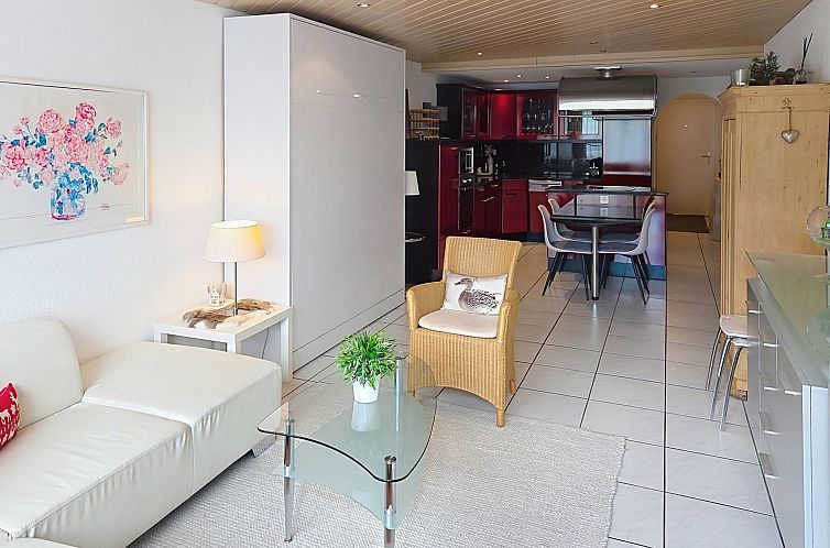 Appartement Center Communal 1D