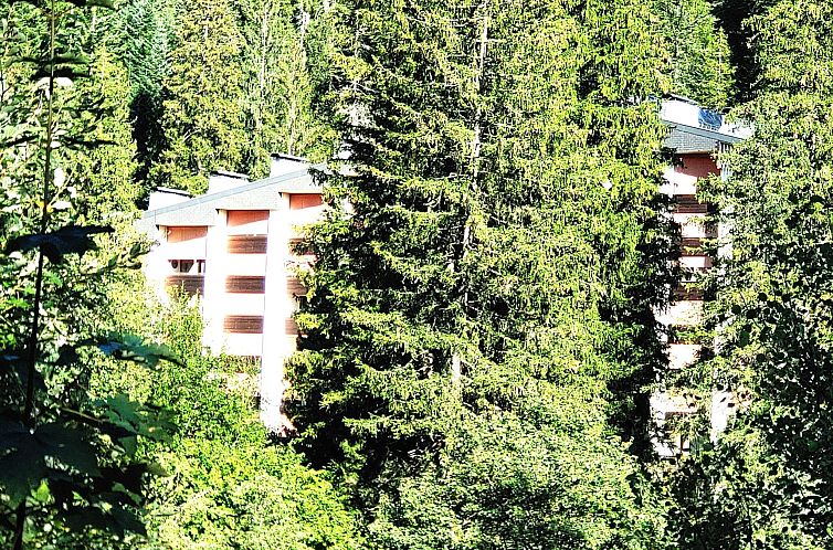 Appartement Rancho Laax