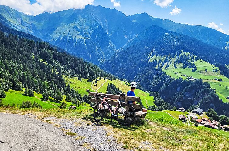 Appartement Chalet mit Bergsicht