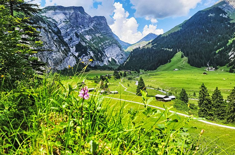 Appartement Chalet mit Bergsicht