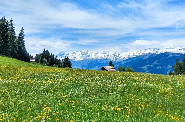 Appartement Chalet mit Bergsicht