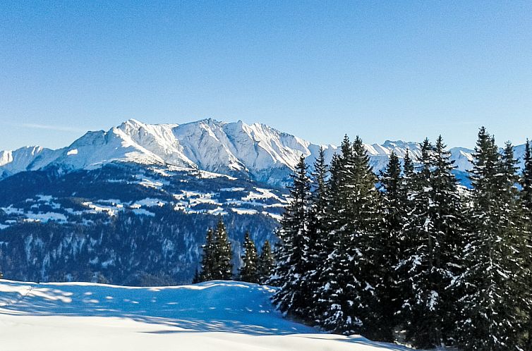 Appartement Chalet mit Bergsicht