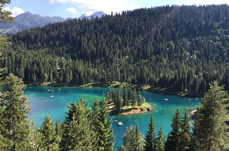 Appartement Casa Partnun 309