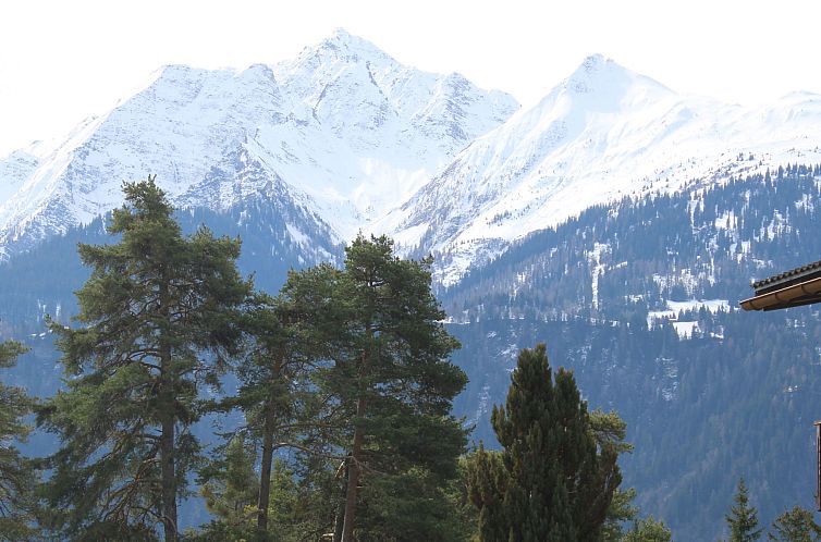 Appartement Casa Pignia - Roth, (Laax GR). 3-Zimmerwohnung