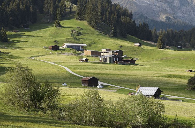 Appartement Ferien auf dem Bauernhof, (Laax Murschetg). 3.5 
