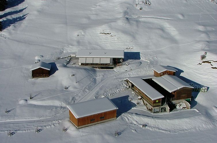 Appartement Ferien auf dem Bauernhof, (Laax Murschetg). 3.5 
