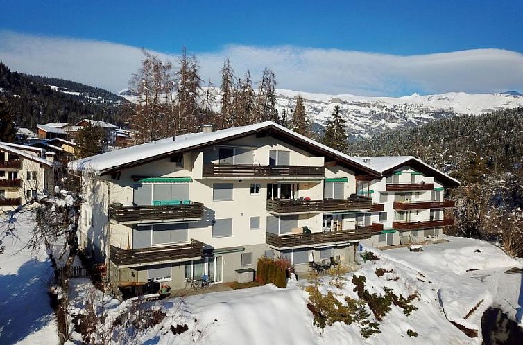 Appartement Pignia 2 / Greulich, (Laax Dorf). 3 Zimmerwohnun
