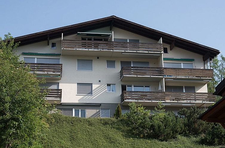Appartement Pignia 2 / Greulich, (Laax Dorf). 3 Zimmerwohnun