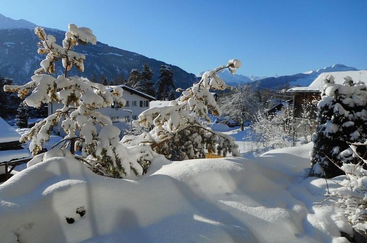 Appartement Pignia 2 / Greulich, (Laax Dorf). 3 Zimmerwohnun