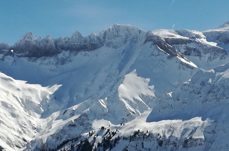 Appartement Pignia 2 / Greulich, (Laax Dorf). 3 Zimmerwohnun