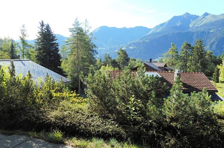 Appartement Pignia 2 / Greulich, (Laax Dorf). 3 Zimmerwohnun