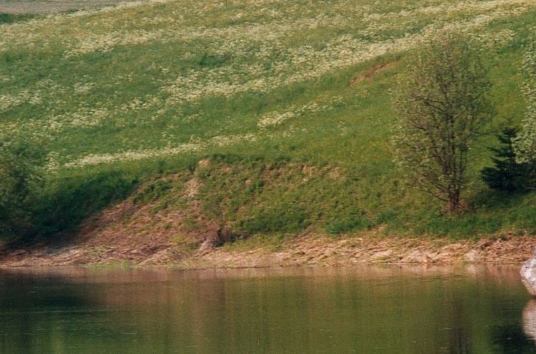 Appartement Casa Migiur