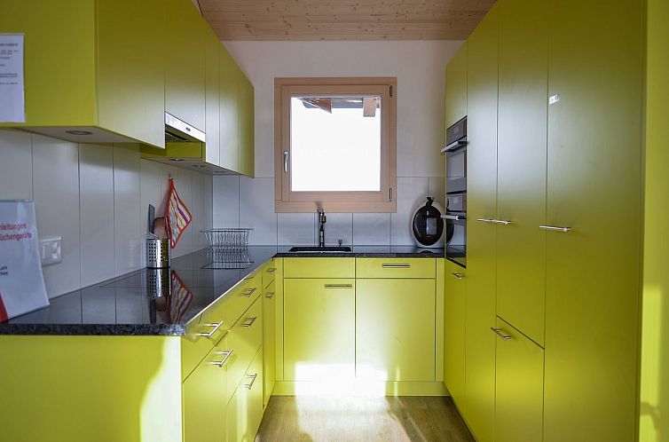 Vakantiehuis Larix, (Pany).