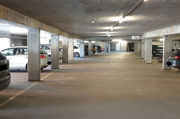 Appartement Bergblick Apartment Pany, (Pany).