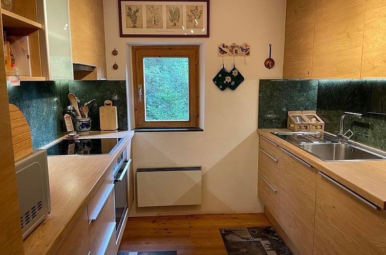 Vakantiehuis Alte typische Engadinermühle