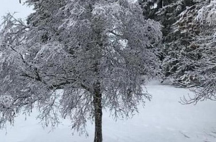 Appartement "Chasa Veglia Tablà