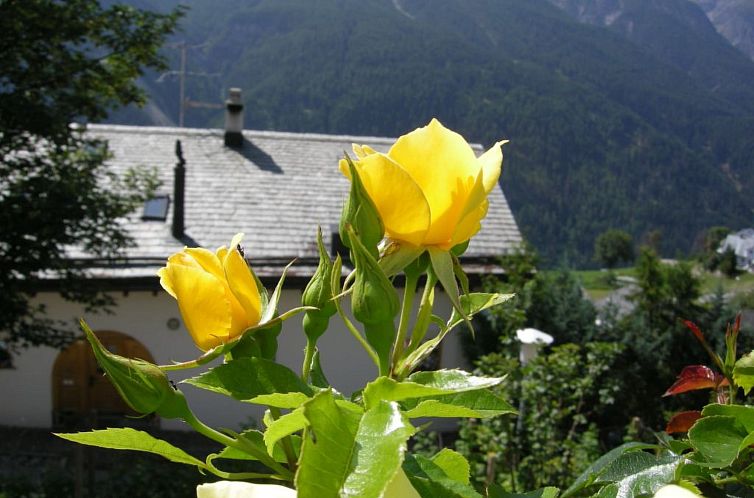 Appartement Via Sura 577A, (Sent).