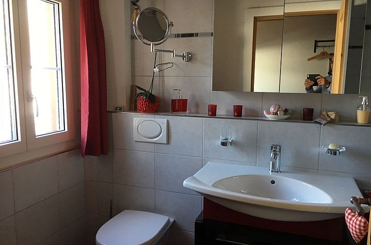Vakantiehuis Privatzimmer bügl süt, (Sent).