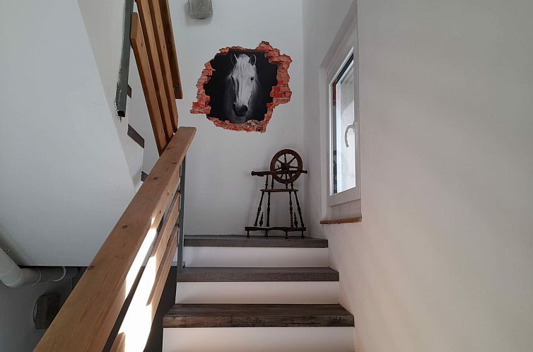 Appartement Ferienwohnungen Paclerahof, (Sta. Maria - Santa 