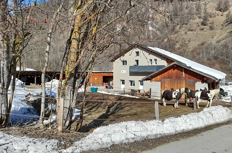 Appartement Ferienwohnungen Paclerahof, (Sta. Maria - Santa 