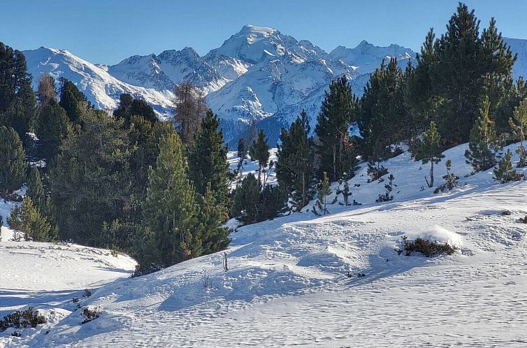 Appartement La Rösa, (Sta. Maria Val Müstair)