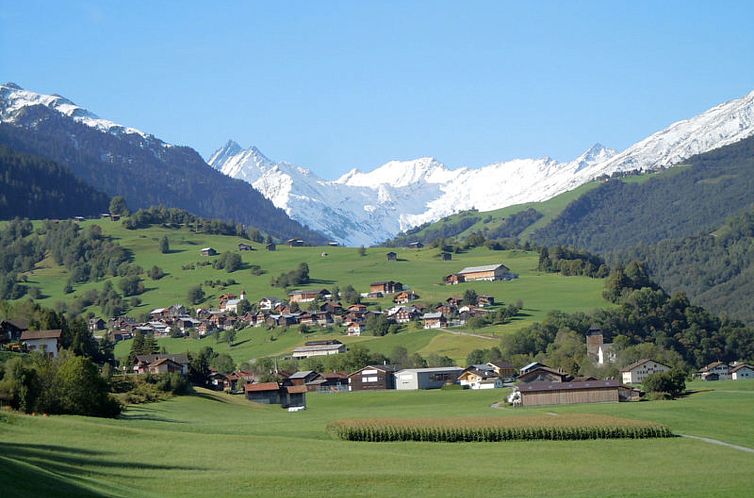 Vakantiehuis Altes Pfarrhaus, Surcasti, (Surcasti).
